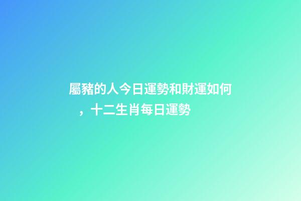 屬豬的人今日運勢和財運如何，十二生肖每日運勢